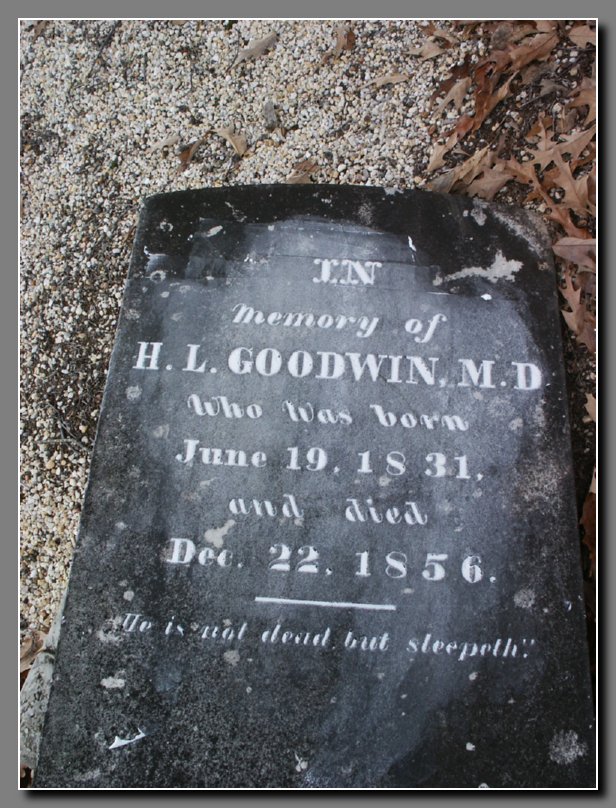 H. L. Goodwin