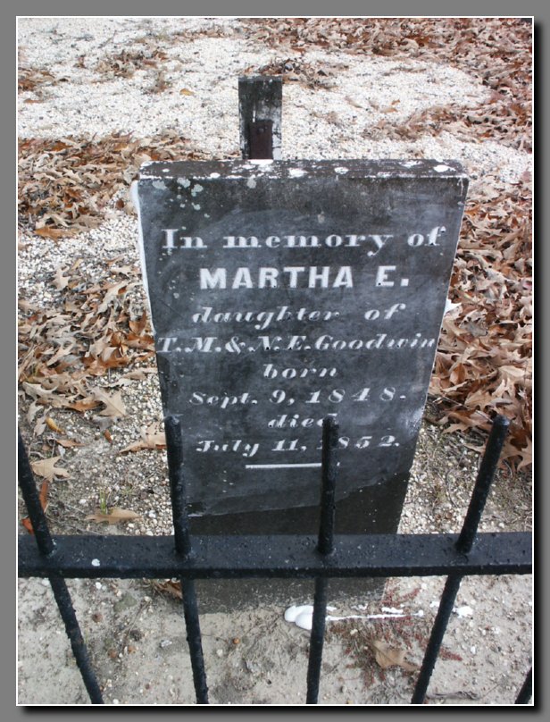 Martha E. Goodwin