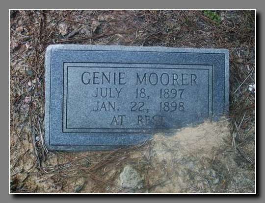 MoorerGenie
