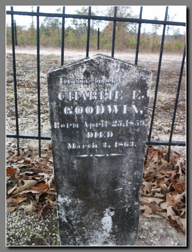 Charlie E. Goodwin
