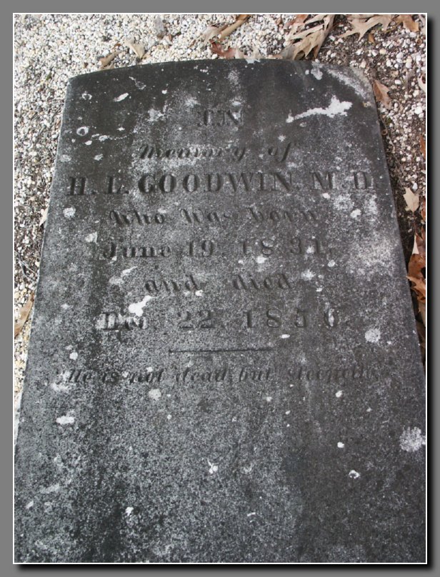 H. L. Goodwin