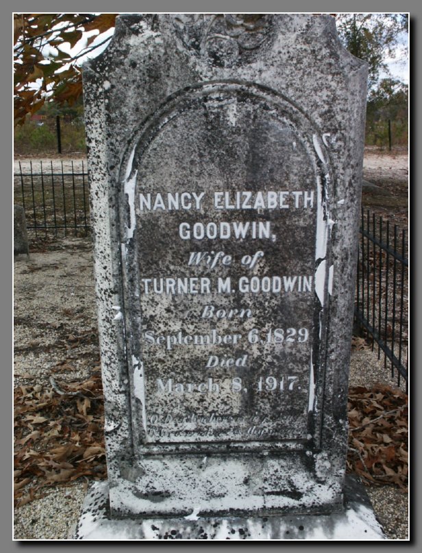 Nancy Elizabeth Goodwin