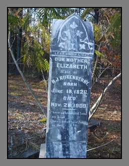 [Click to enlarge image]